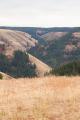 IMG_5137 oregon overlook